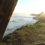 Web Over Pleasure Point Beach, Santa Cruz