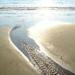 Tracks on Beach