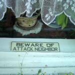Beware Of Attack Neighbor