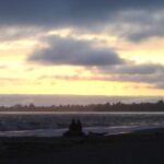 Couple On Log At Sunset
