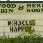 Marquee, Santa Cruz, California