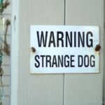 Sign Strange Dog