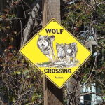 Wolf Crossing Sign, Aptos California